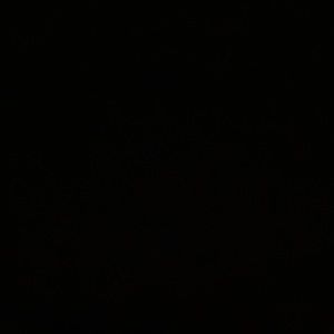 Meet your Posher, Ralph